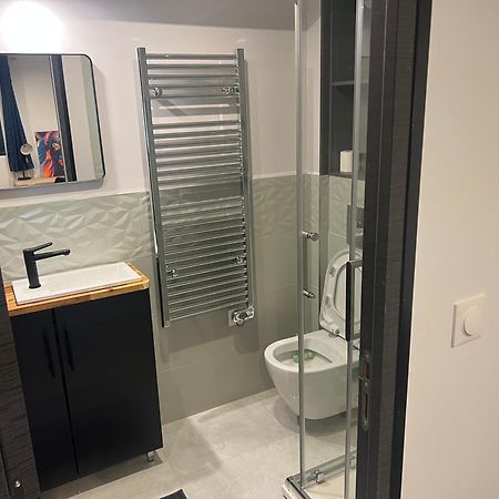 Loft Entier Nancy Centre Et Parking公寓 外观 照片